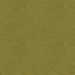 Dashwood - Anbo Pop - Olive