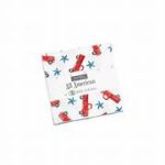 Moda Fabrics - Mini Charm Pack - Precuts - All American by Deb Strain