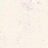 Andover Fabrics - Spectratastic by Giucy Giuce - Pop Rocks - Cream Pink - Geometric - 1407 L Y