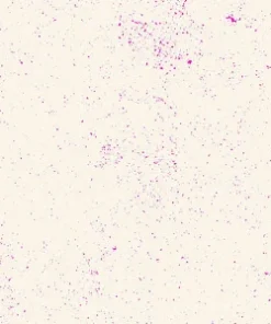 Andover Fabrics - Spectratastic by Giucy Giuce - Pop Rocks - Cream Pink - Geometric - 1407 L Y