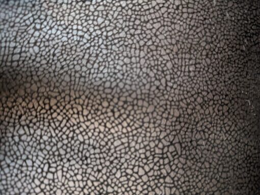 Behrens Fabrics - Suede plain dyed with Foil - Dressmaking - Black - Polyester / Elastane - 22108 069