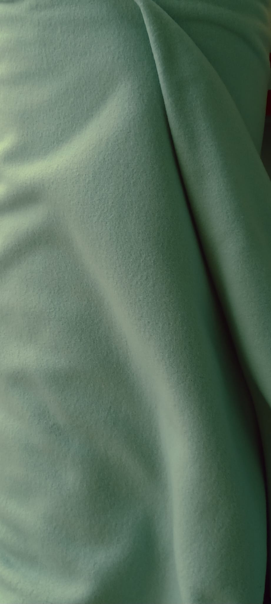 Behrens Fabrics - Dressmaking - Double Sided Fleece - Sage Green