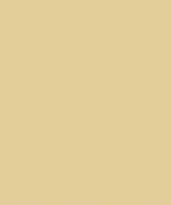 Makower - Spectrum - Solid - Biscuit - Dark Cream - 2000 Q44